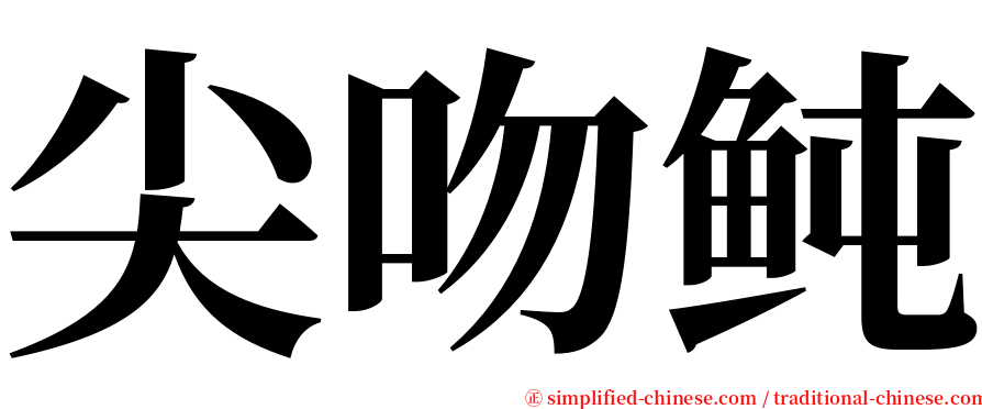 尖吻鲀 serif font