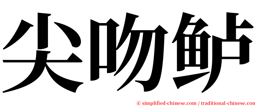 尖吻鲈 serif font