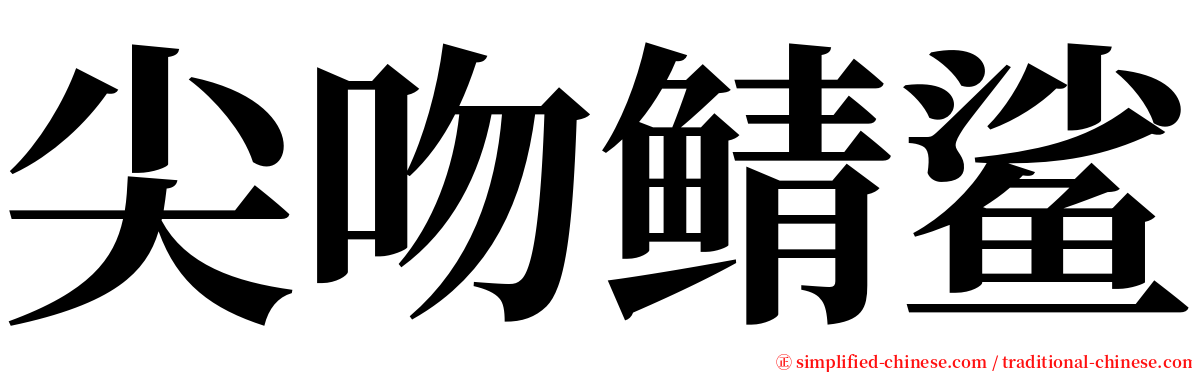 尖吻鲭鲨 serif font