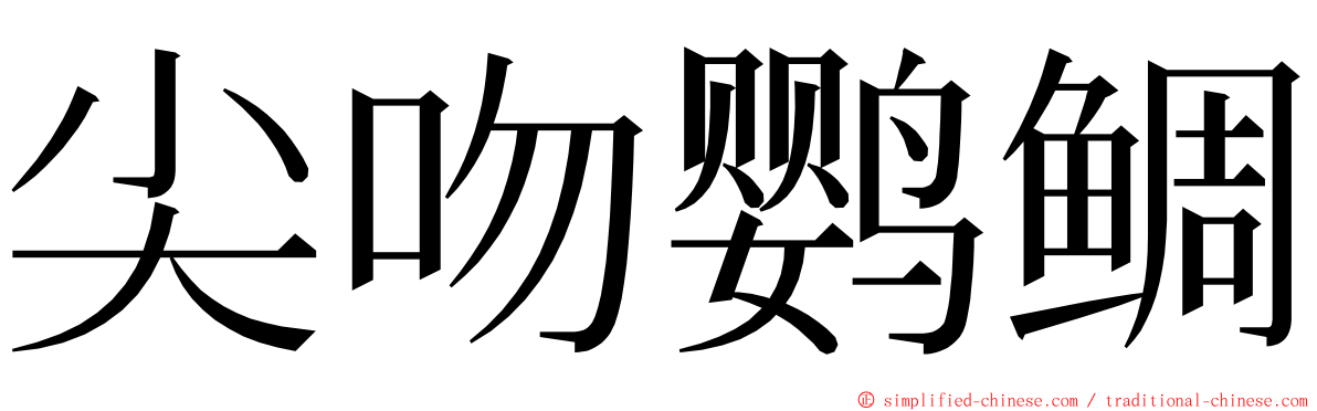 尖吻鹦鲷 ming font