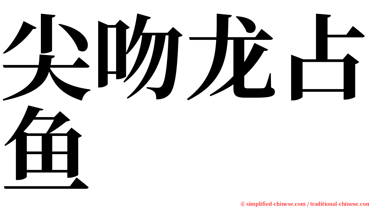 尖吻龙占鱼 serif font