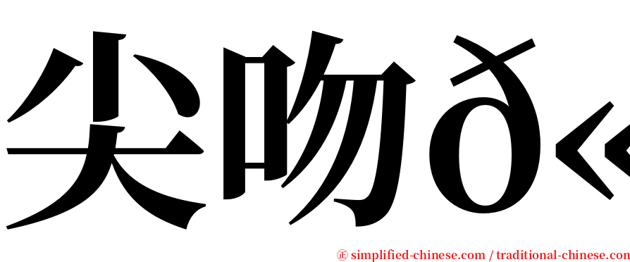 尖吻𫚉 serif font