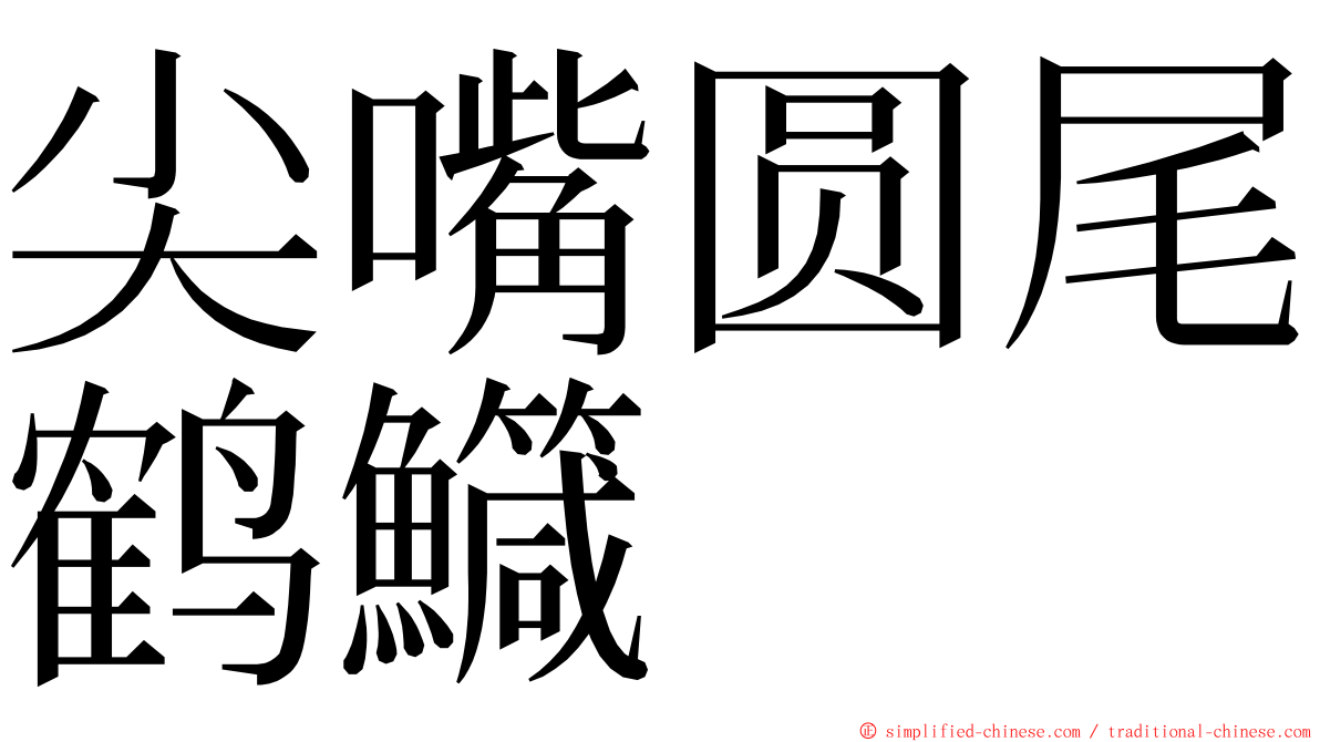 尖嘴圆尾鹤鱵 ming font