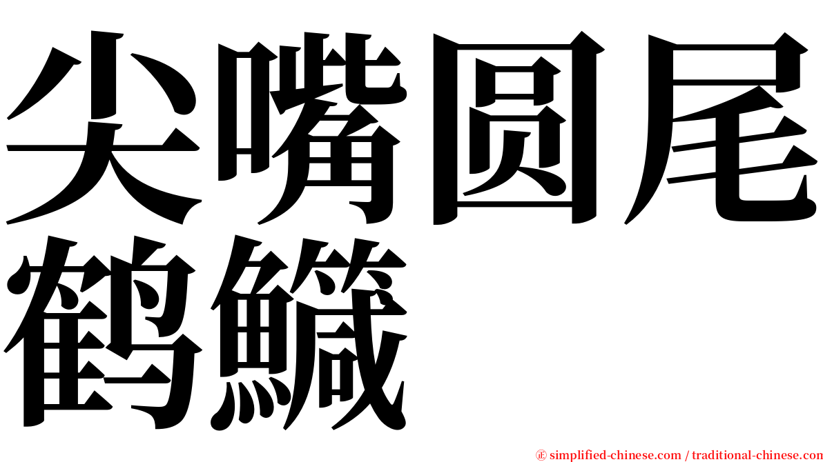 尖嘴圆尾鹤鱵 serif font