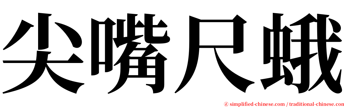 尖嘴尺蛾 serif font