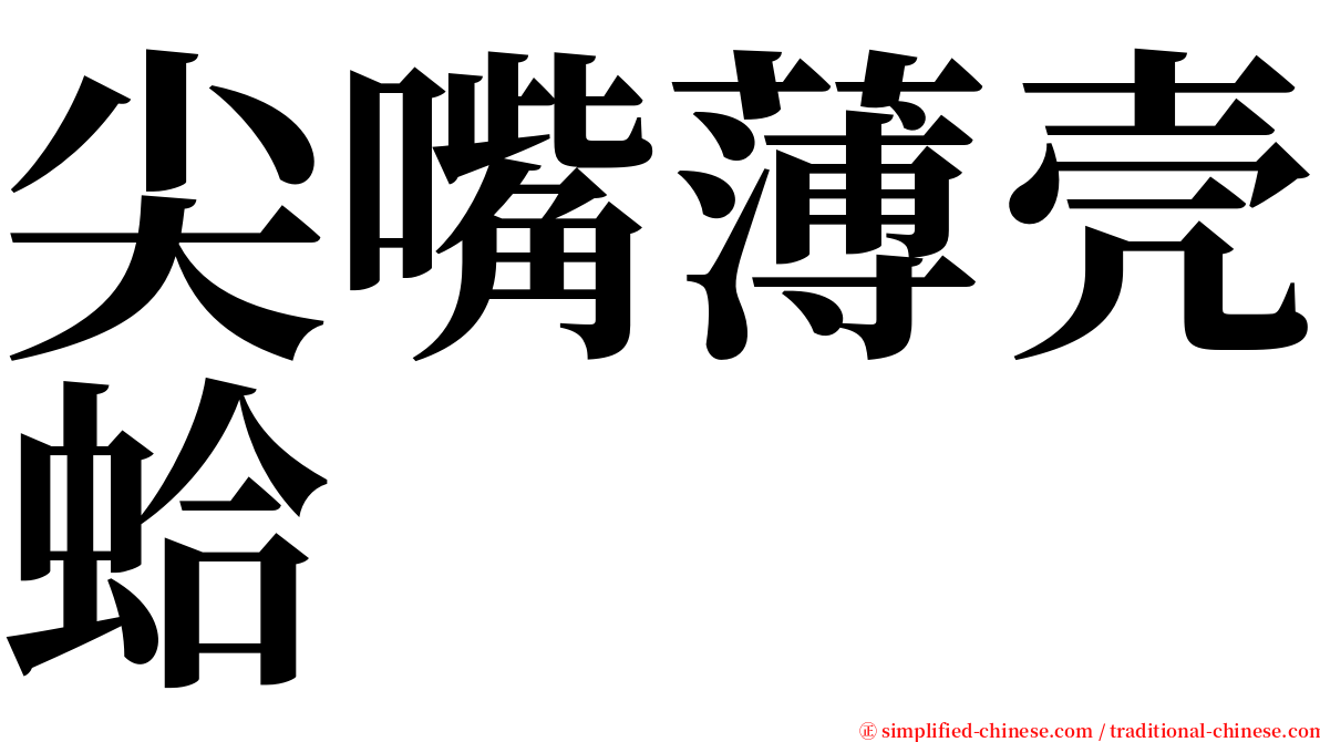 尖嘴薄壳蛤 serif font