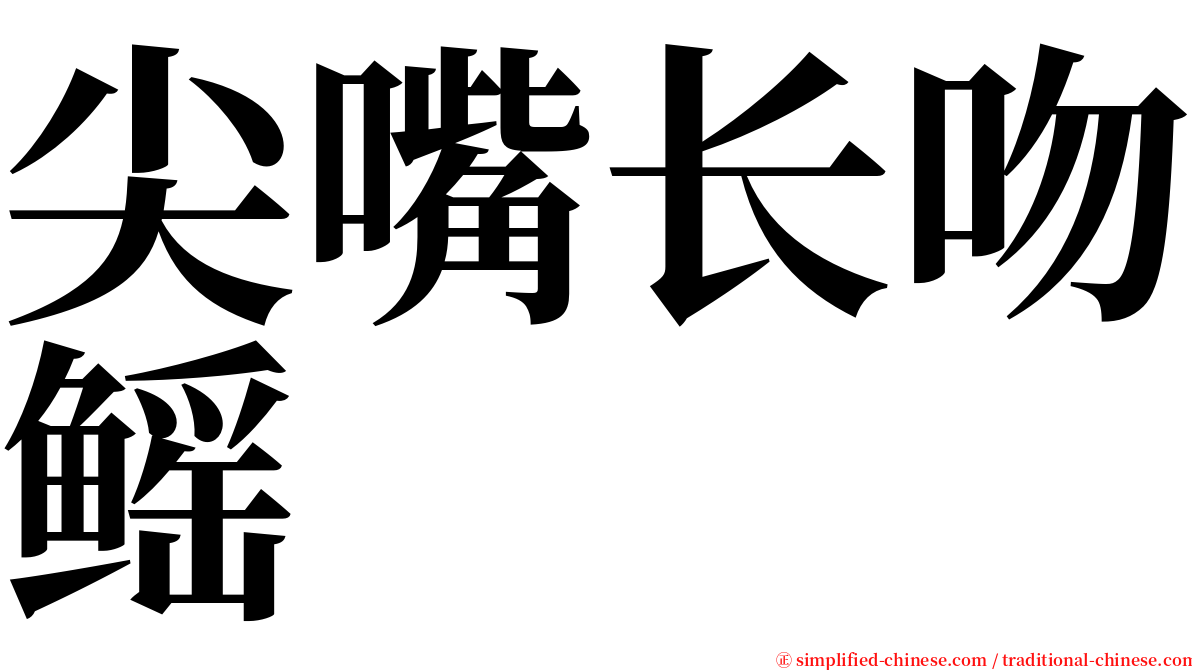 尖嘴长吻鳐 serif font