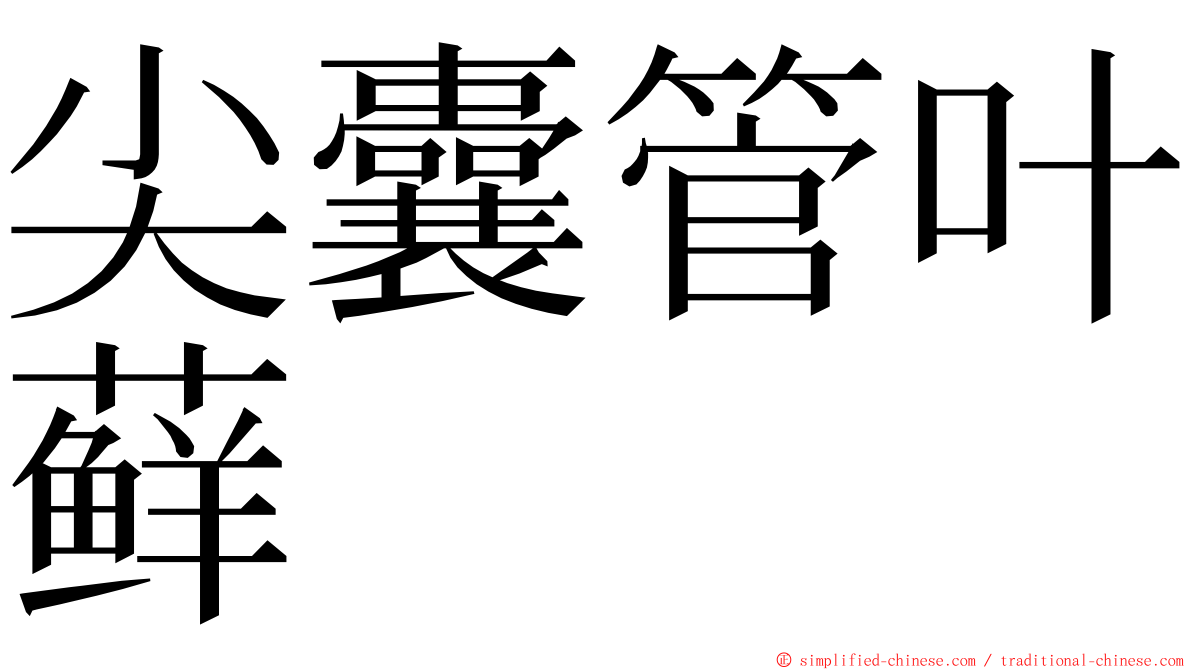 尖囊管叶藓 ming font