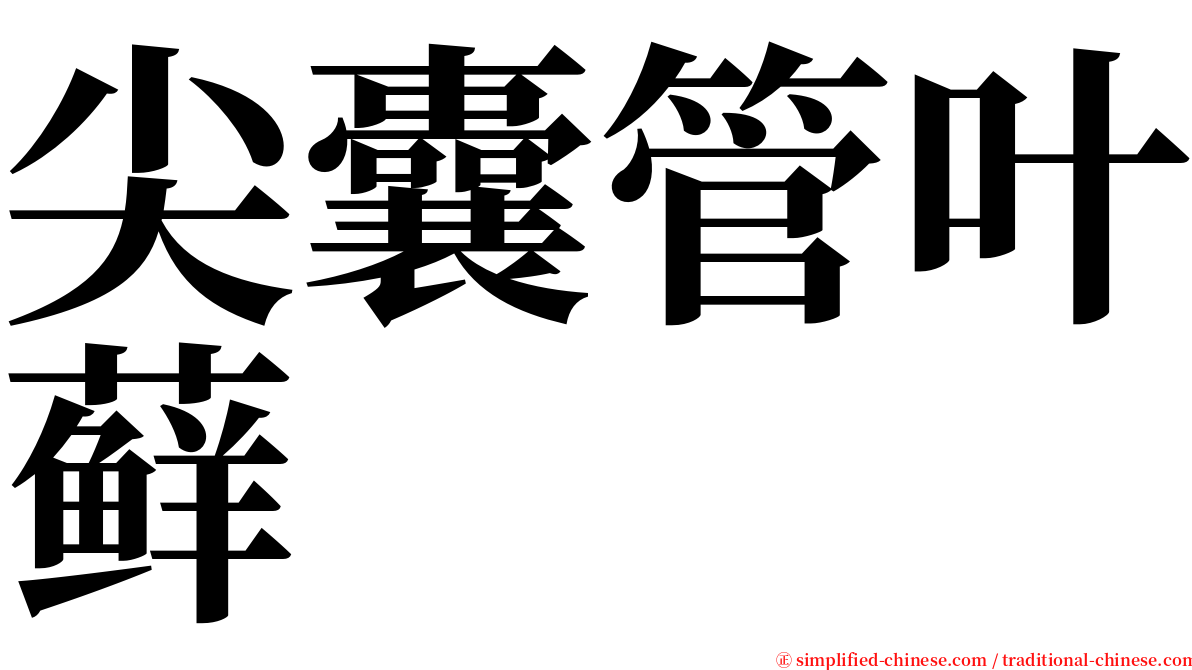 尖囊管叶藓 serif font