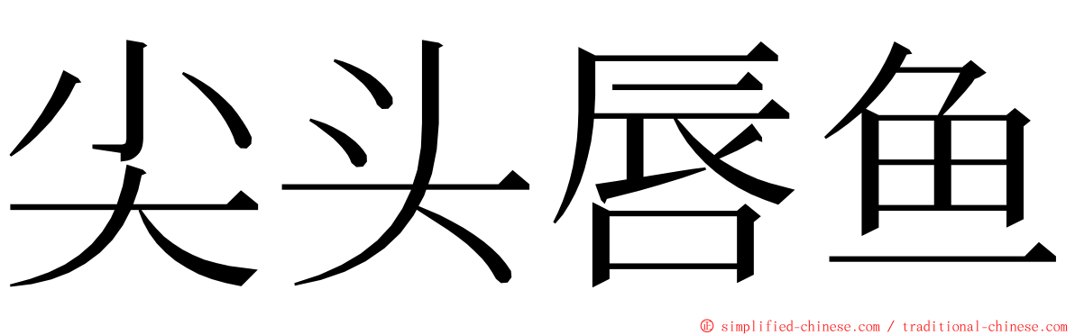 尖头唇鱼 ming font