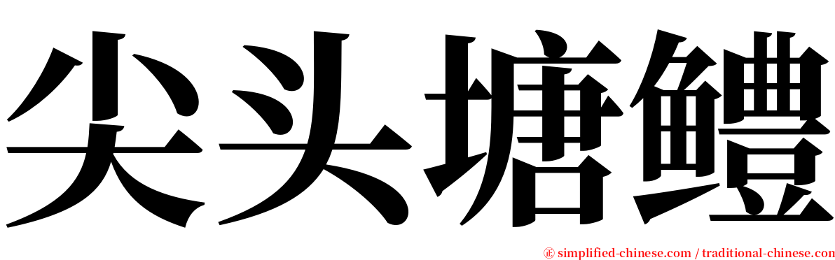 尖头塘鳢 serif font