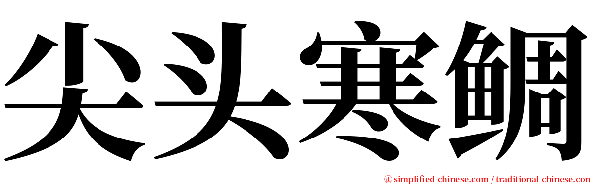 尖头寒鲷 serif font