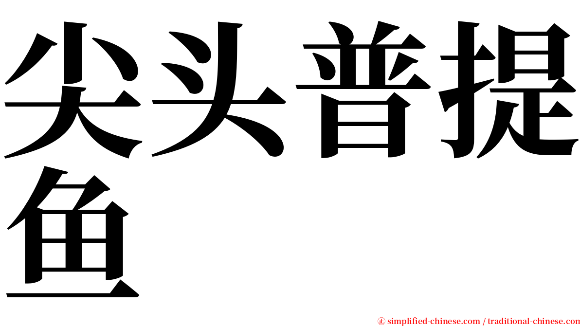 尖头普提鱼 serif font