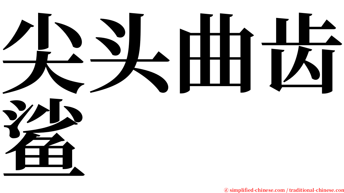 尖头曲齿鲨 serif font