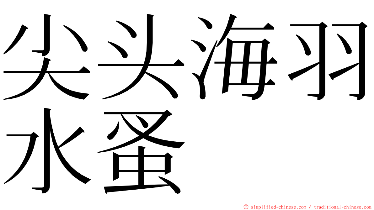 尖头海羽水蚤 ming font