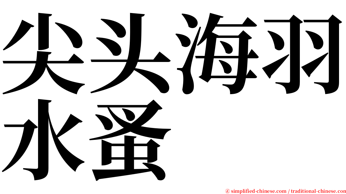 尖头海羽水蚤 serif font