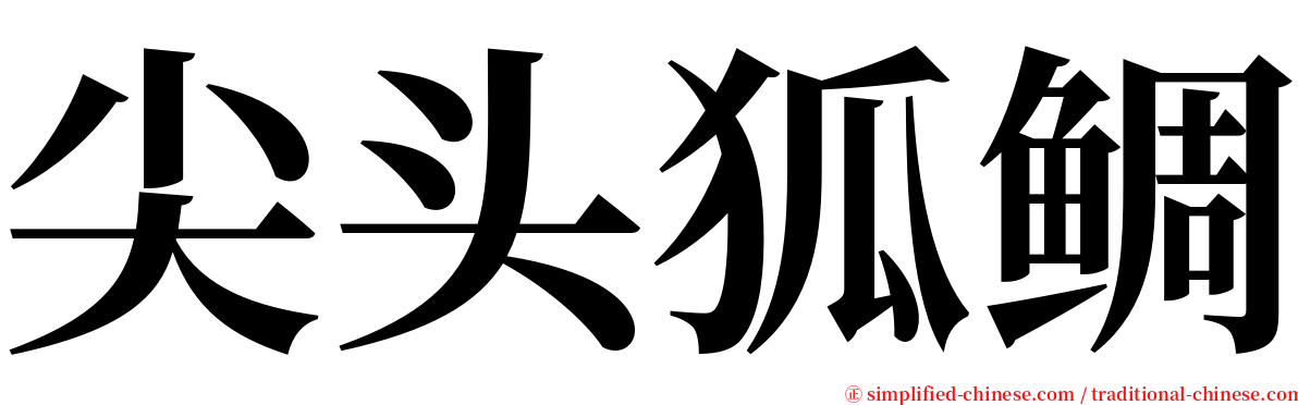 尖头狐鲷 serif font