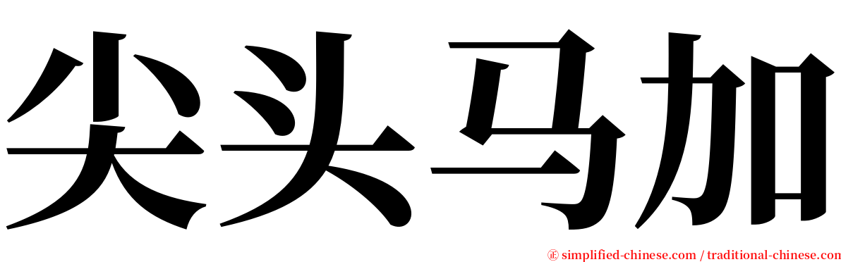 尖头马加 serif font