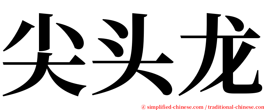 尖头龙 serif font