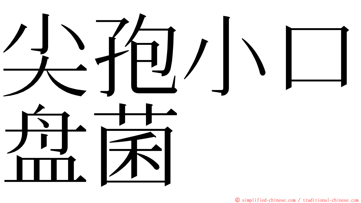 尖孢小口盘菌 ming font