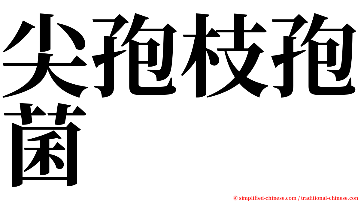 尖孢枝孢菌 serif font