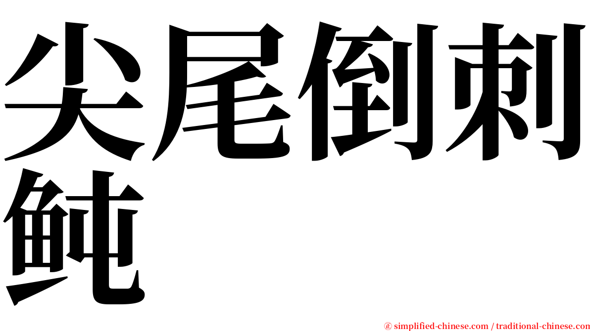 尖尾倒刺鲀 serif font