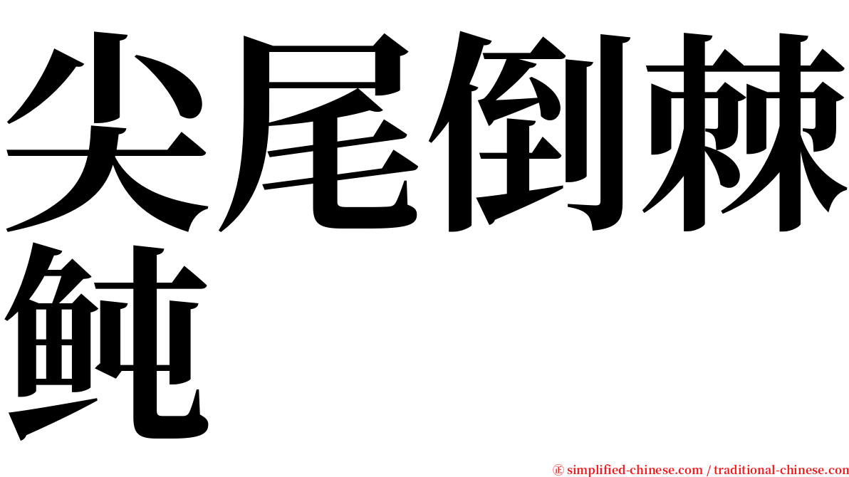 尖尾倒棘鲀 serif font