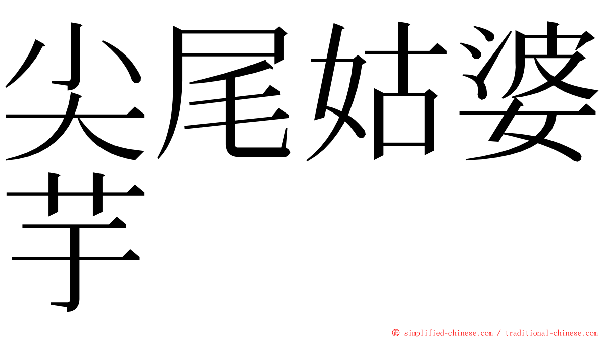 尖尾姑婆芋 ming font