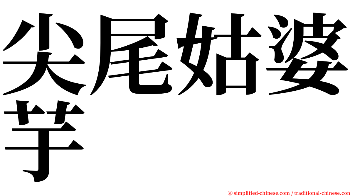 尖尾姑婆芋 serif font