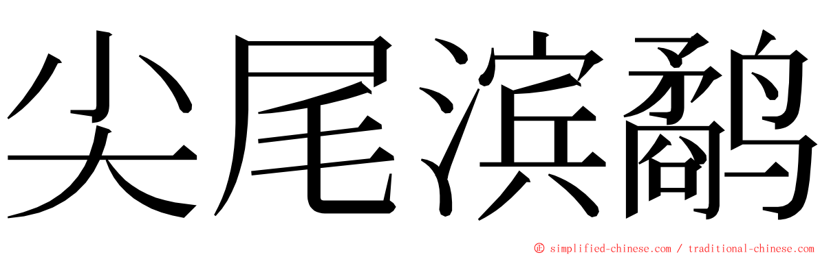 尖尾滨鹬 ming font