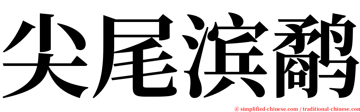 尖尾滨鹬 serif font