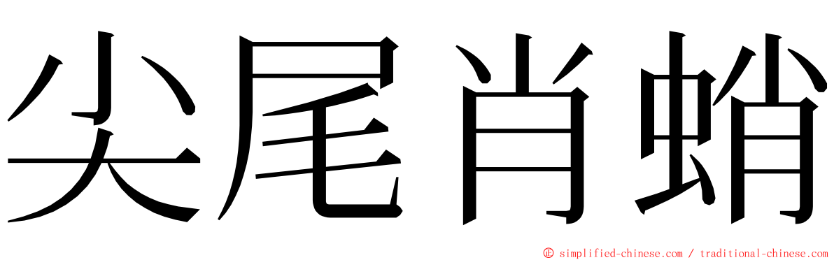 尖尾肖蛸 ming font