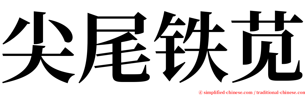 尖尾铁苋 serif font