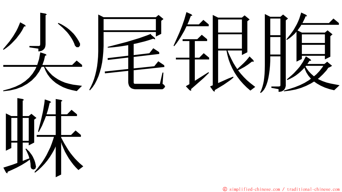 尖尾银腹蛛 ming font