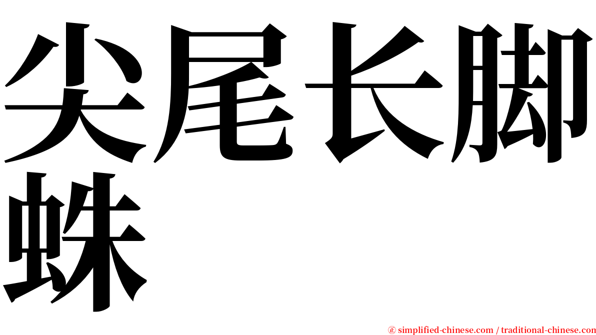 尖尾长脚蛛 serif font