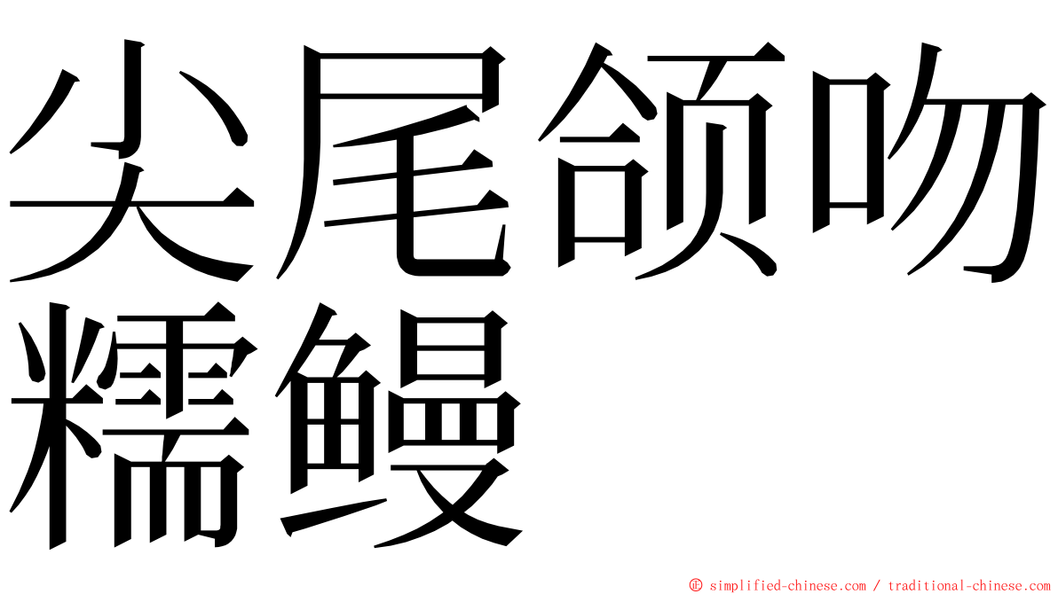 尖尾颌吻糯鳗 ming font