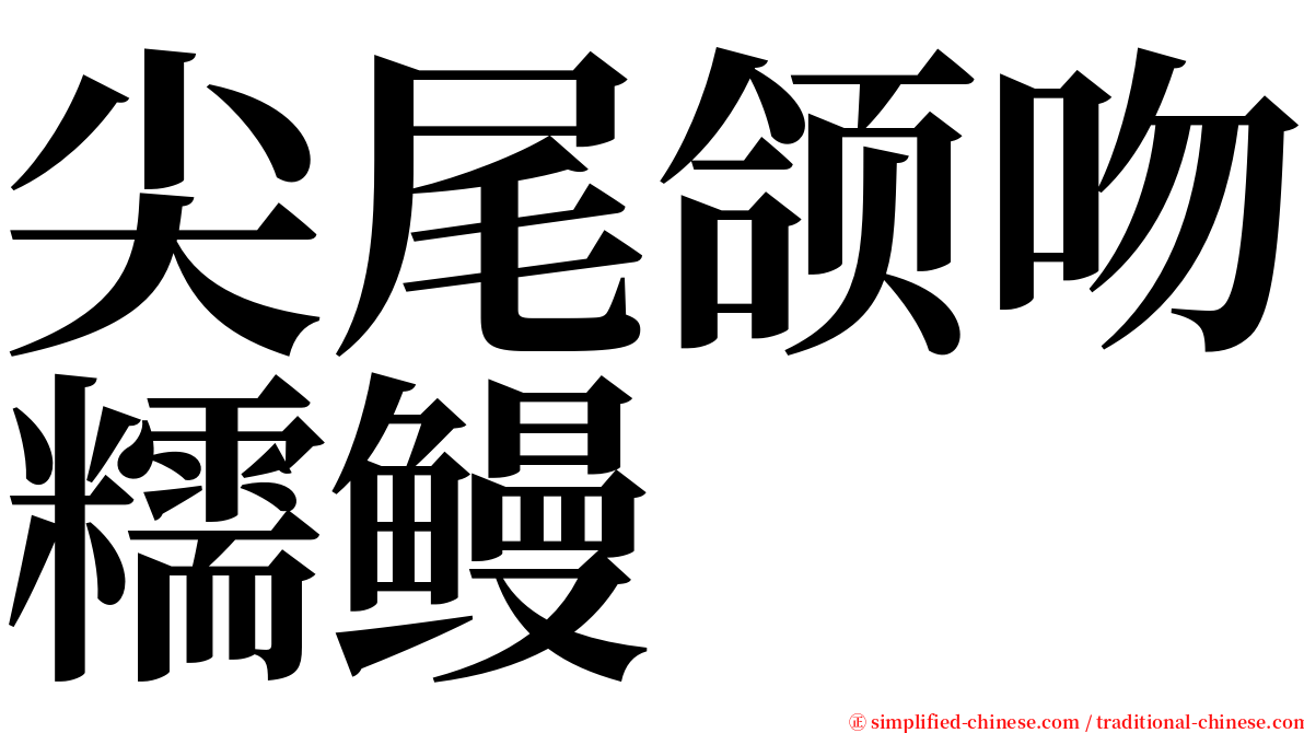 尖尾颌吻糯鳗 serif font