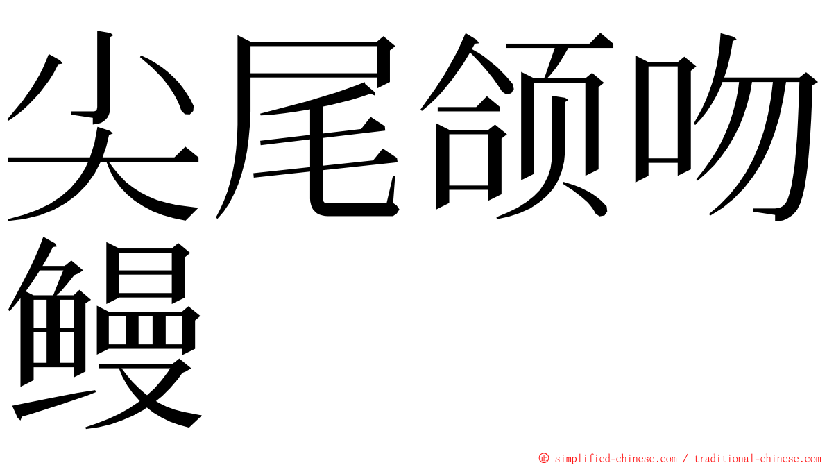 尖尾颌吻鳗 ming font