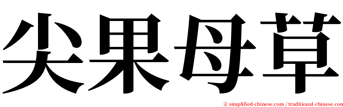 尖果母草 serif font