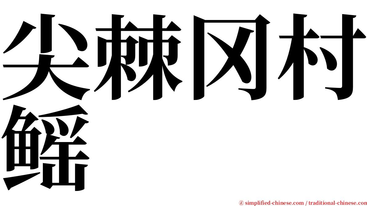 尖棘冈村鳐 serif font