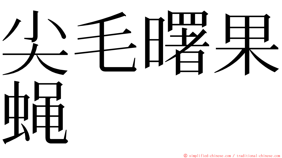 尖毛曙果蝇 ming font