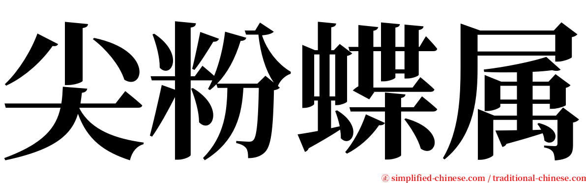 尖粉蝶属 serif font