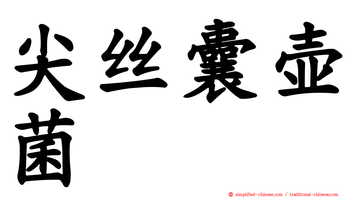 尖丝囊壶菌