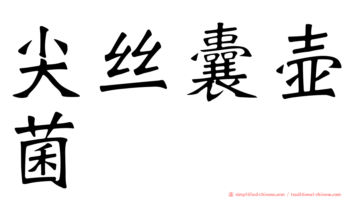 尖丝囊壶菌
