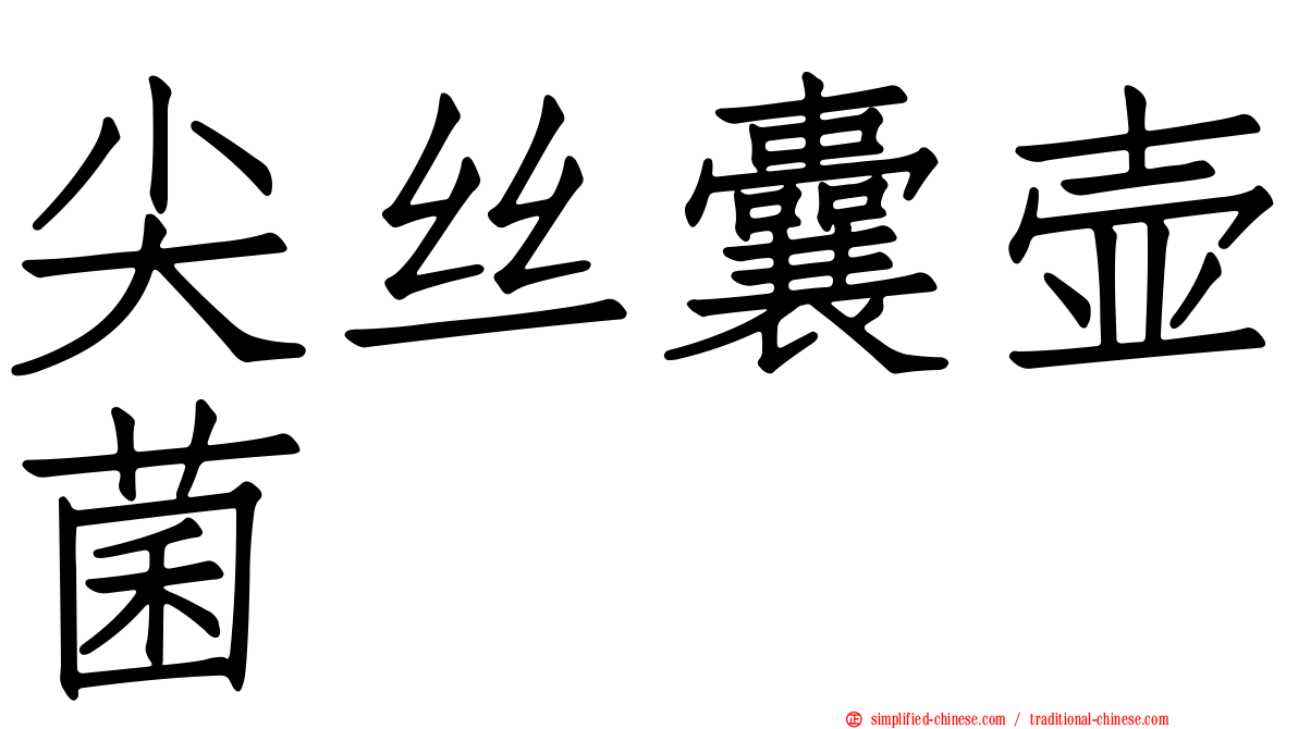 尖丝囊壶菌