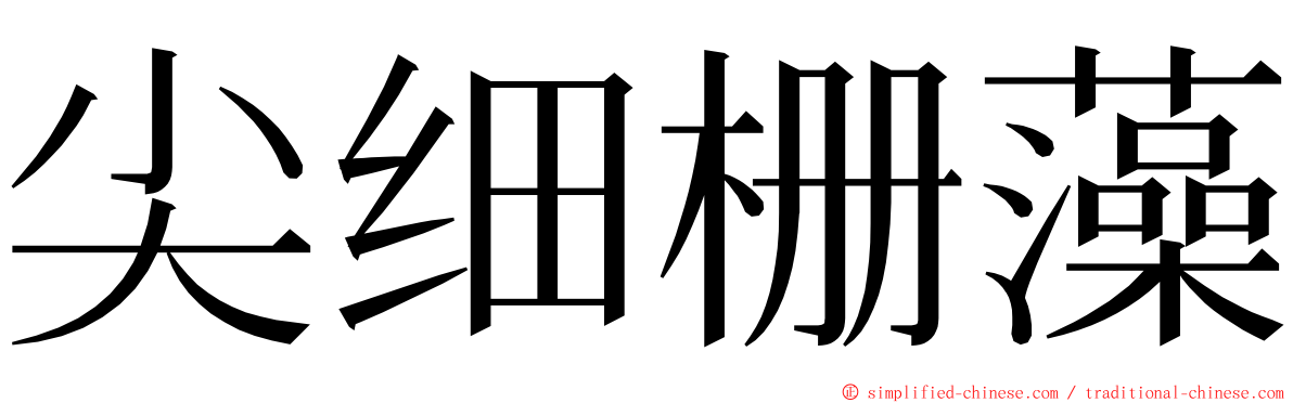 尖细栅藻 ming font