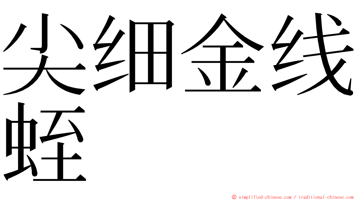 尖细金线蛭 ming font