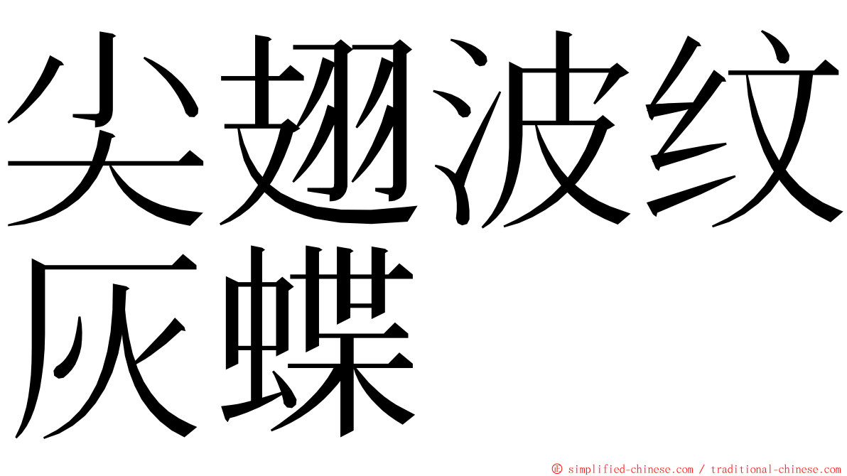 尖翅波纹灰蝶 ming font