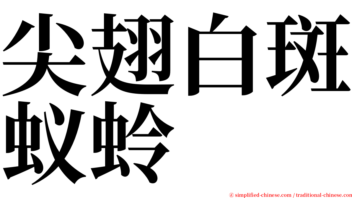 尖翅白斑蚁蛉 serif font