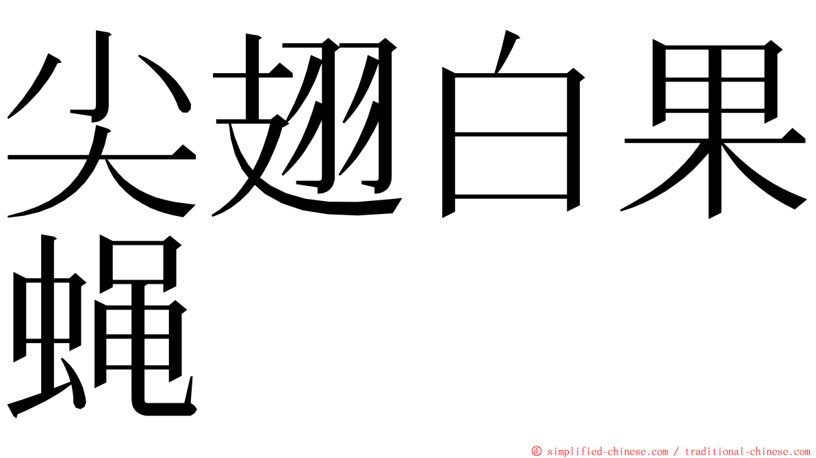 尖翅白果蝇 ming font